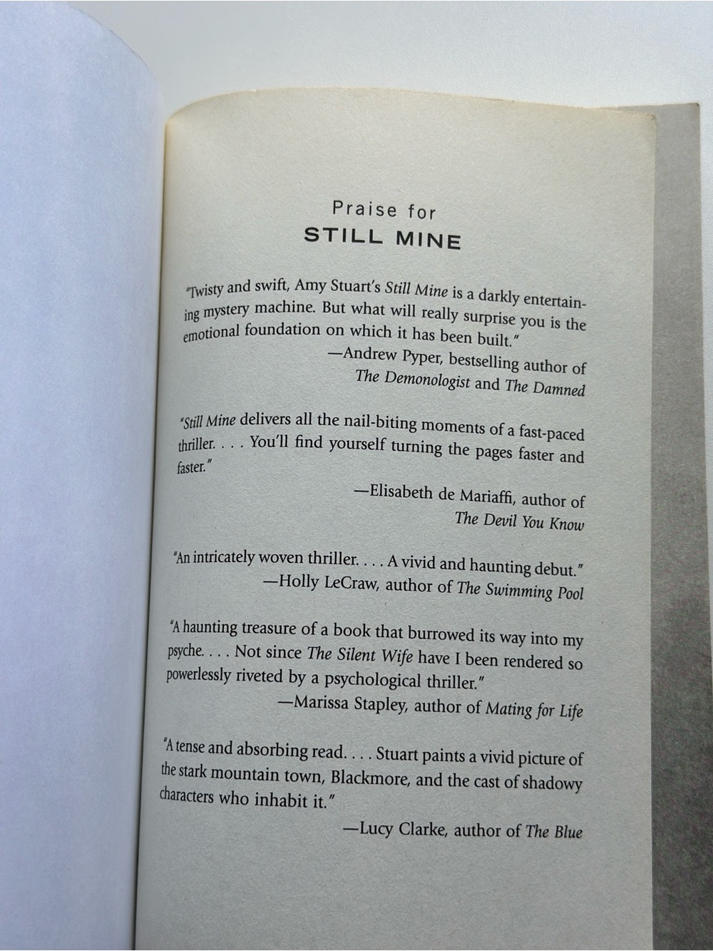 Still Mine: A Novel by Amy Stuart | Fiction, Thriller | Paperback Book - Picture 7 of 9